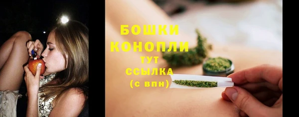 Альфа ПВП Дмитровск