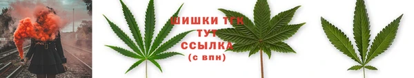 меф Дмитриев