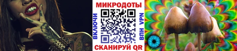 Купить где  Красноярск  Галлюциногенные грибы Psilocybine cubensis 